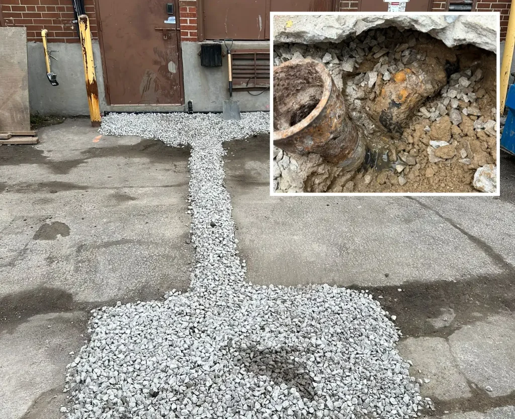 building trap removal toronto